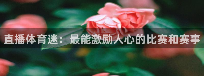 新闻图片
