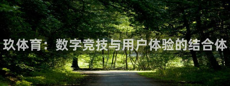 玖体育：数字竞技与用户体验的结合体