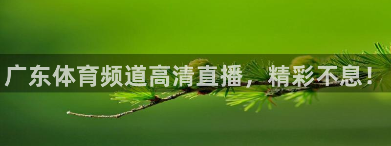 广东体育频道高清直播，精彩不息！