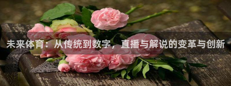 未来体育：从传统到数字，直播与解说的变革与创新
